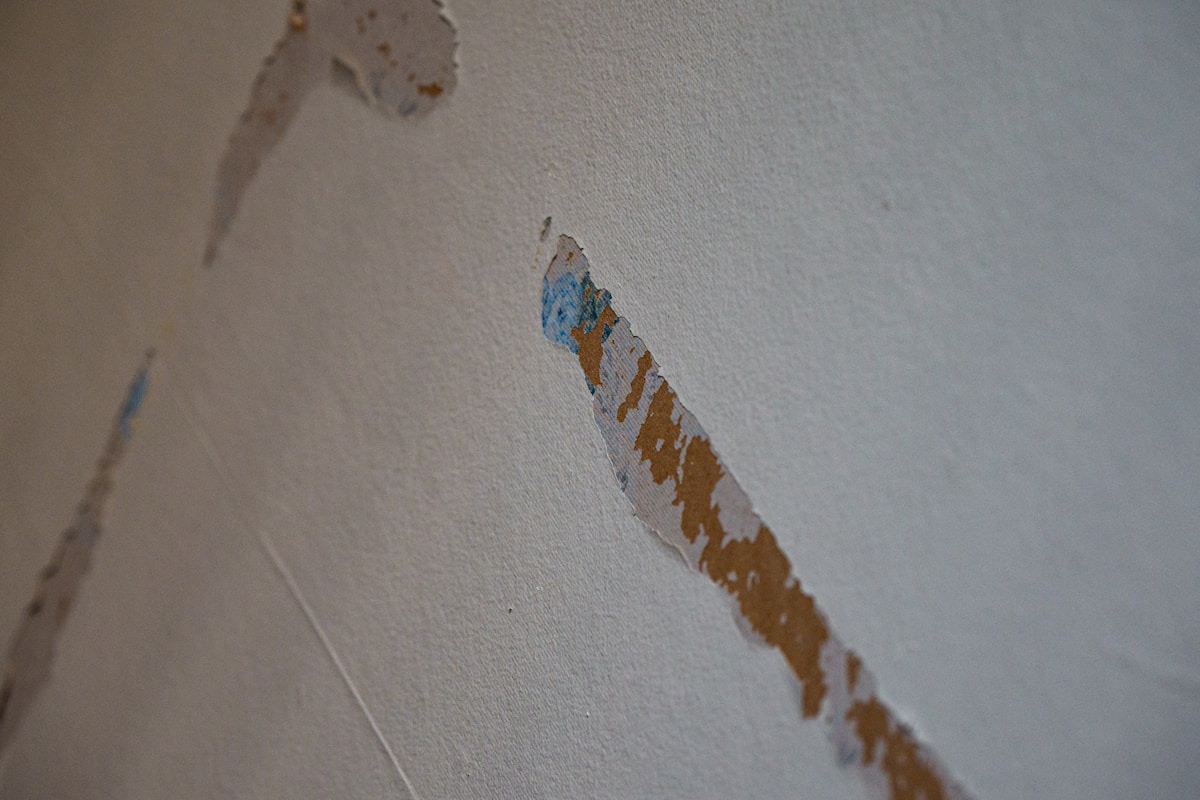 Water Extraction service in Costa Mesa, CA